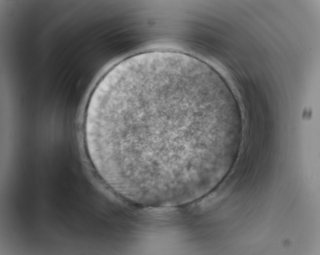 X0000102830864200809151038