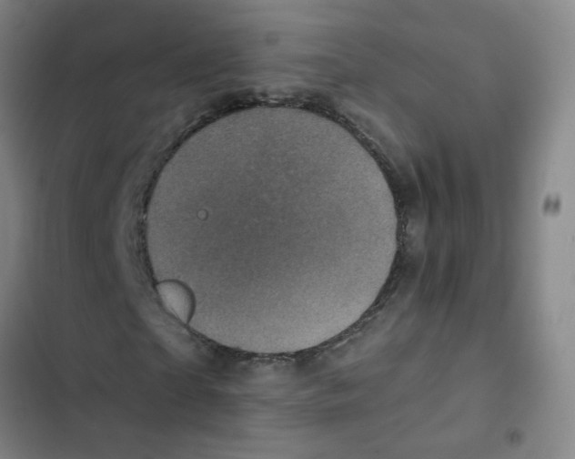 X0000102830865200809151037