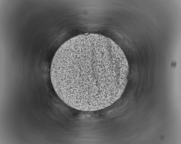 X0000102830866200809151037
