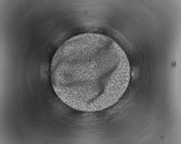X0000102830867200809151037