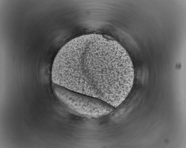 X0000102830868200809151037