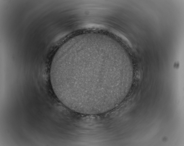 X0000102830869200809151037