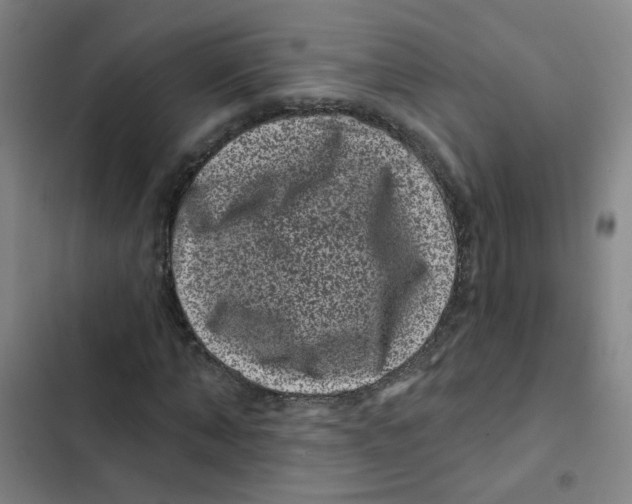 X0000102830870200809151037