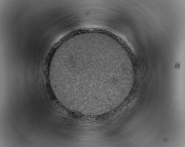 X0000102830871200809151037