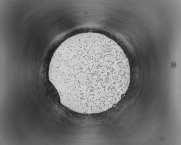 X0000102830872200809151037
