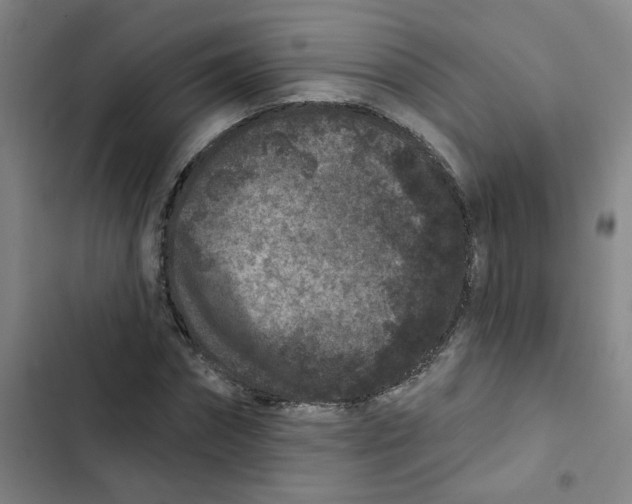X0000102830874200809151037