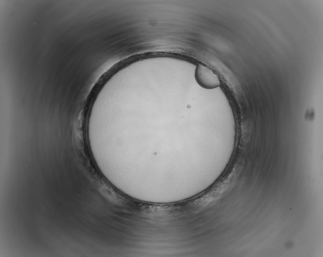 X0000102830875200809151037