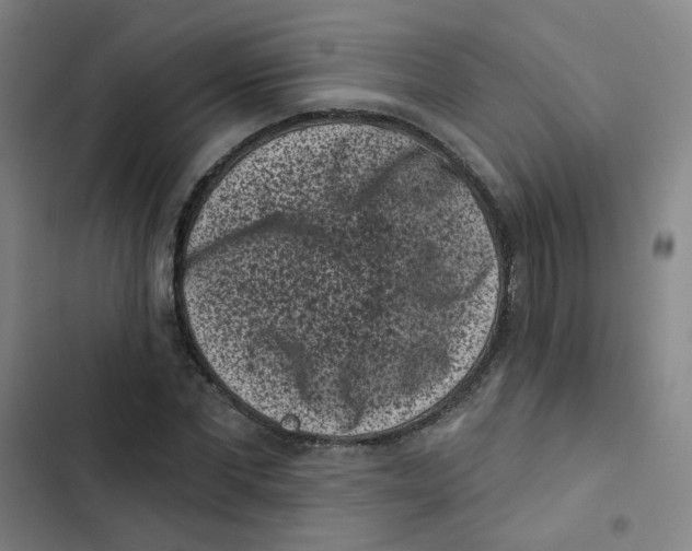 X0000102830877200809151037
