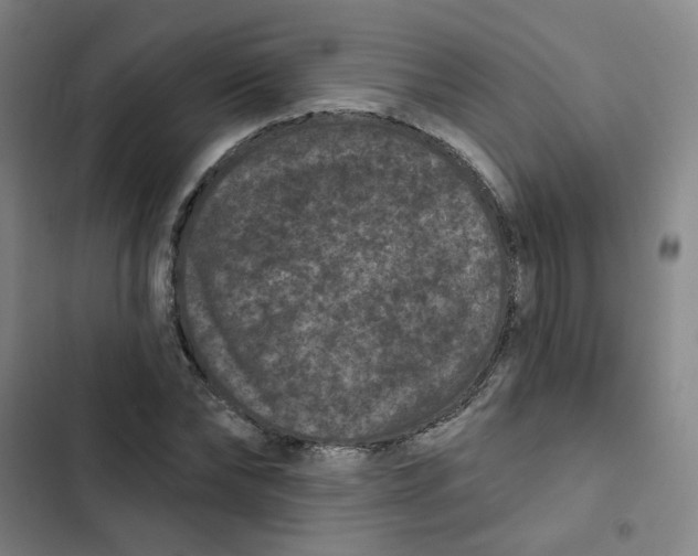 X0000102830878200809151037