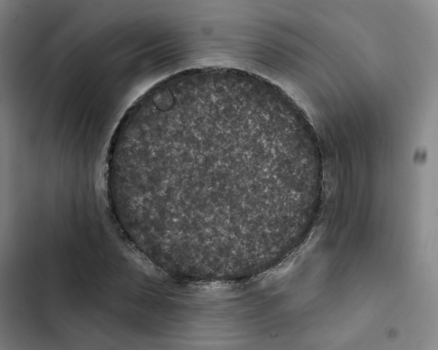 X0000102830879200809151037