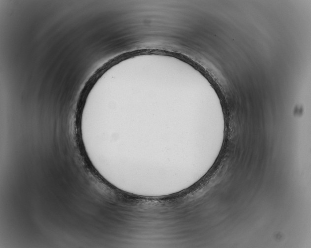 X0000102830880200809151037