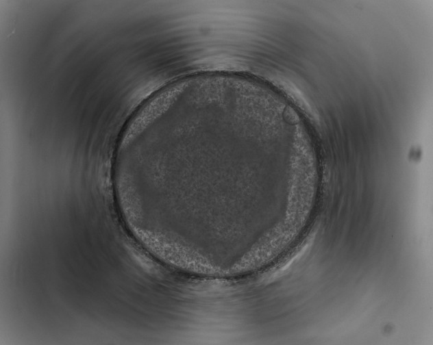 X0000102830881200809151037