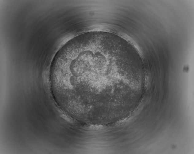 X0000102830882200809151037