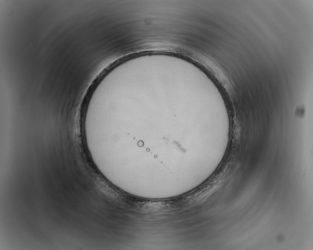 X0000102830883200809151037