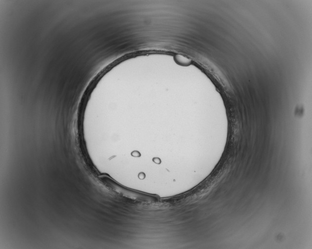 X0000102830884200809151037