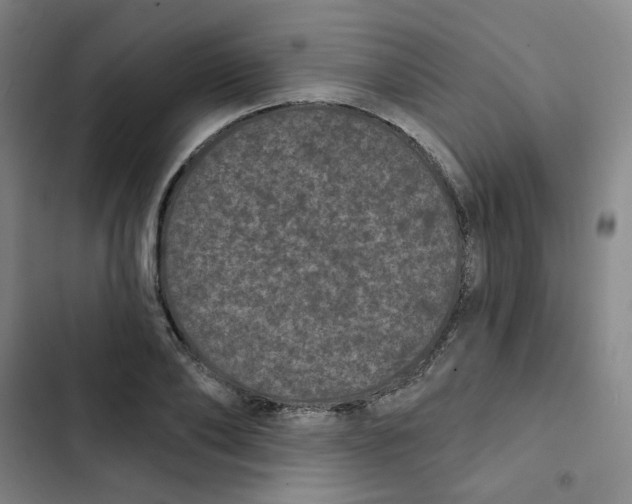 X0000102830886200809151037