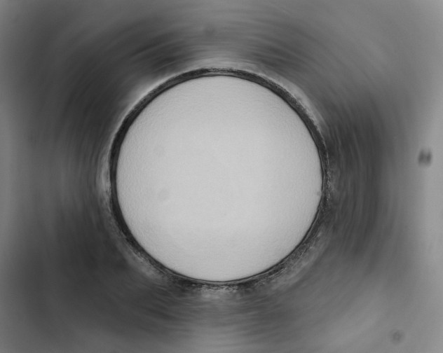 X0000102830887200809151037