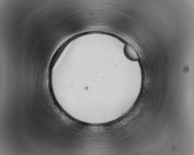 X0000102830888200809151037