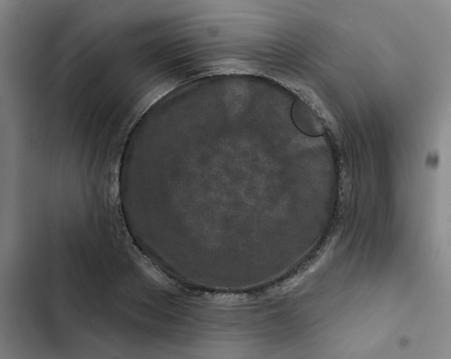 X0000102830889200809151037