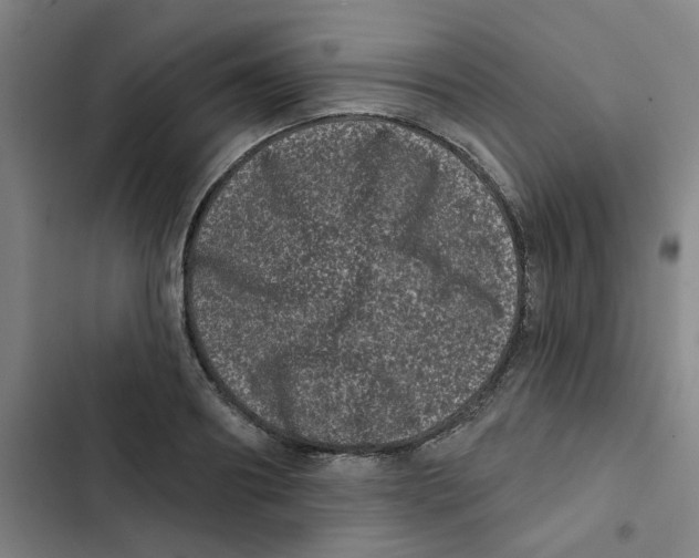 X0000102830890200809151037