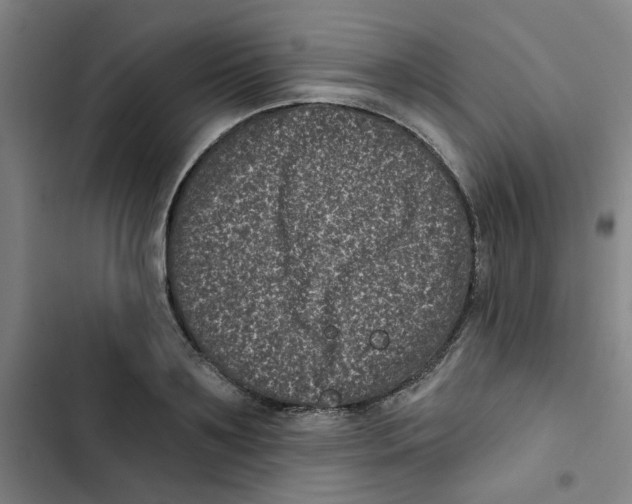 X0000102830891200809151037