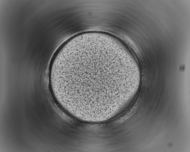 X0000102830892200809151037