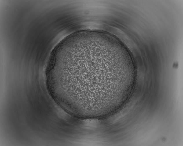 X0000102830893200809151037