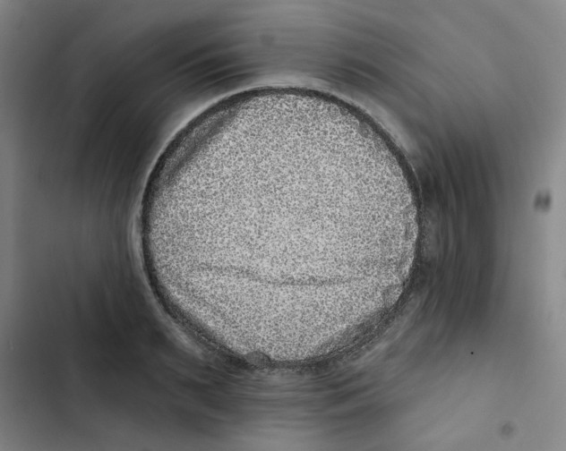 X0000102830895200809151037