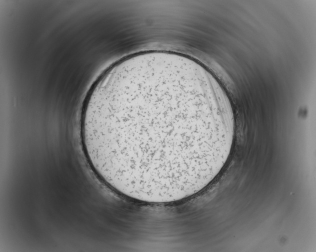 X0000102830896200809151037