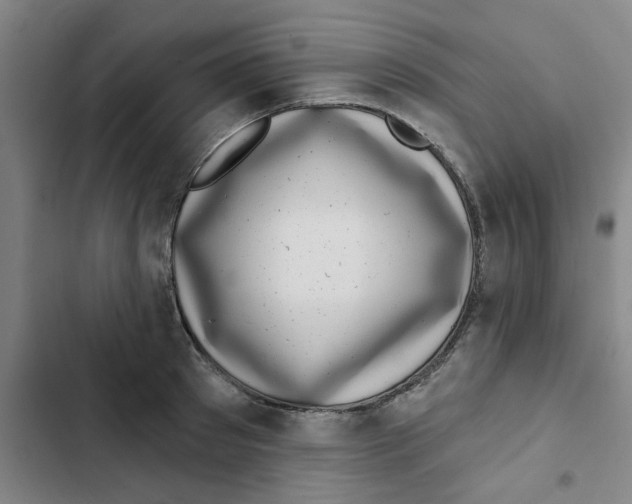 X0000102830897200809151037