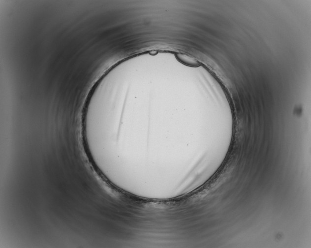 X0000102830898200809151037