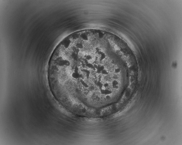 X0000102830899200809151037