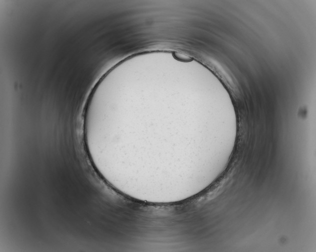 X0000102830900200809151037