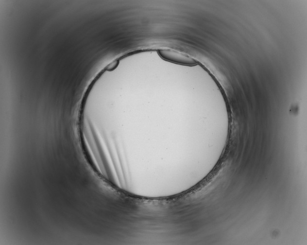 X0000102830901200809151037