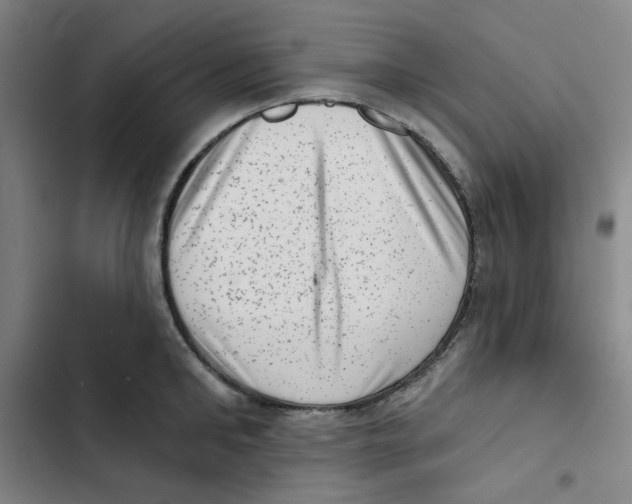 X0000102830902200809151037