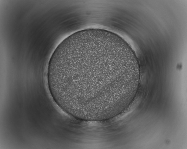 X0000102830903200809151037