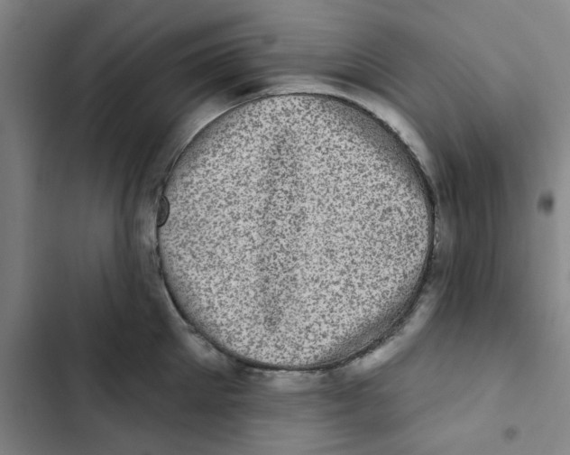 X0000102830905200809151037