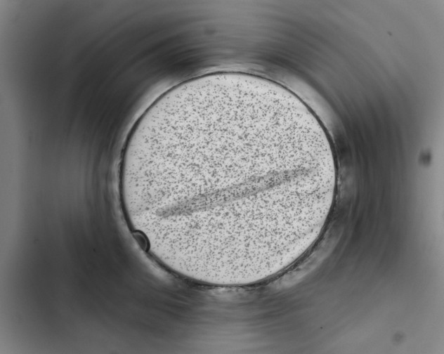 X0000102830906200809151037