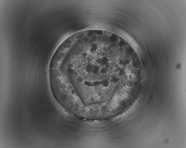 X0000102830907200809151037