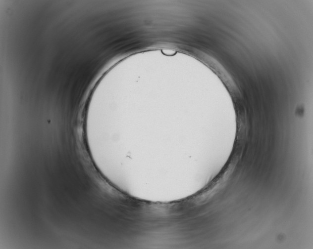 X0000102830908200809151037