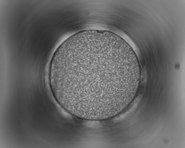 X0000102830909200809151037