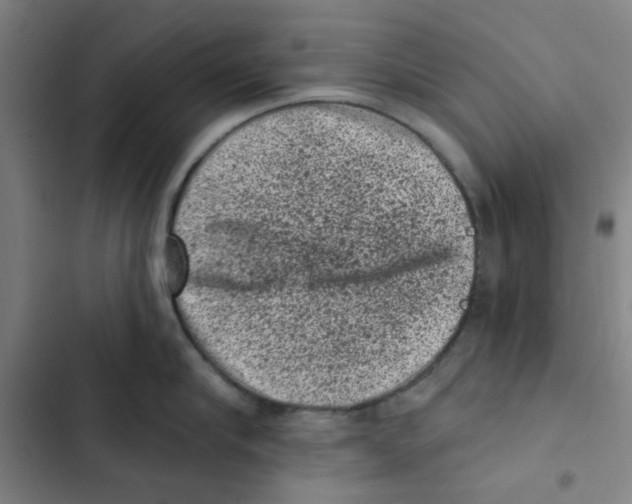 X0000102830910200809151037