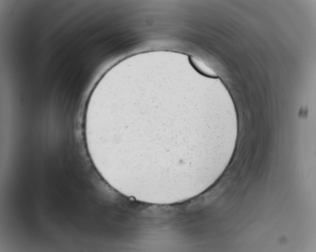 X0000102830912200809151036