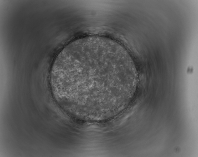 X0000102830913200809151036