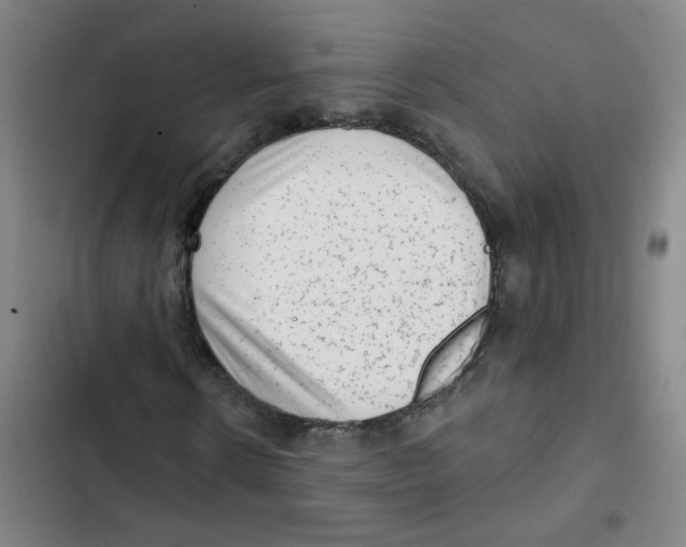 X0000102830914200809151036
