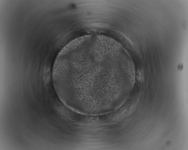 X0000102830915200809151036