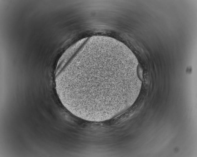 X0000102830916200809151036