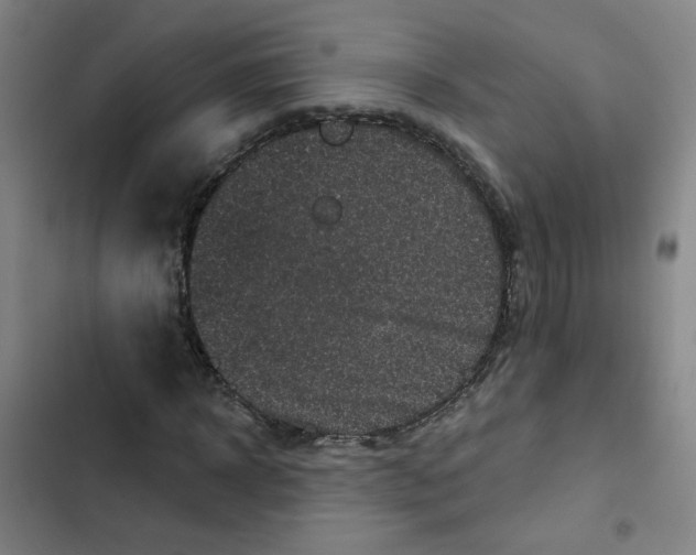 X0000102830918200809151036
