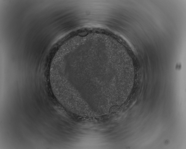X0000102830919200809151036