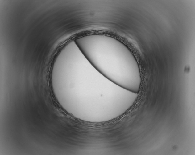 X0000102830920200809151036